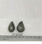 Click for 1 image(s) for this accession. FRUIT